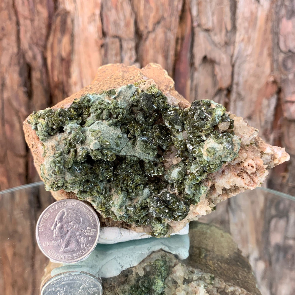 
            
                Load image into Gallery viewer, 11cm 608g Epidote, Clear Quartz from Morocco
            
        