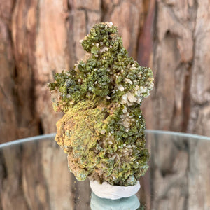 6.5cm 60g Epidote, Clear Quartz from Morocco