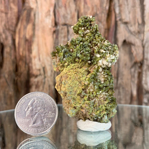 6.5cm 60g Epidote, Clear Quartz from Morocco