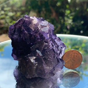 6cm 194g Purple Fluorite from Coahuila, Mexico