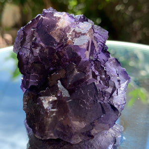 6cm 194g Purple Fluorite from Coahuila, Mexico