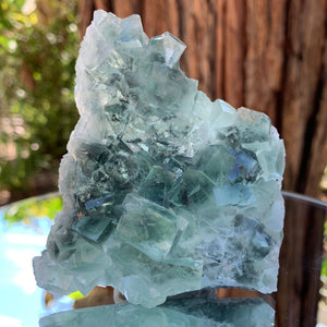 8.5cm 180g Clear Green Fluorite from Xianghualing, China