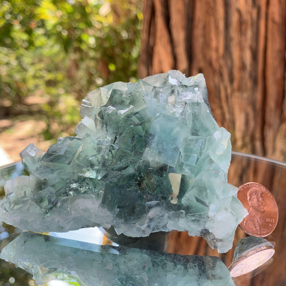 8.5cm 180g Clear Green Fluorite from Xianghualing, China