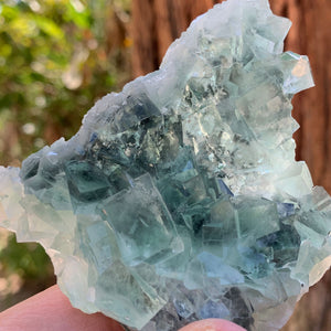 8.5cm 180g Clear Green Fluorite from Xianghualing, China