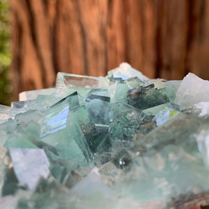 8.5cm 180g Clear Green Fluorite from Xianghualing, China