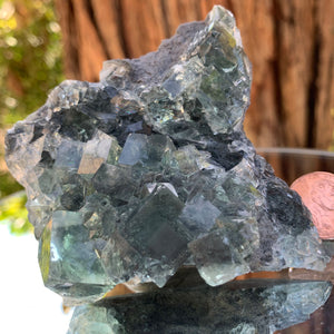 
            
                Load image into Gallery viewer, 8cm 170g Clear Green Fluorite from Xianghualing, China
            
        