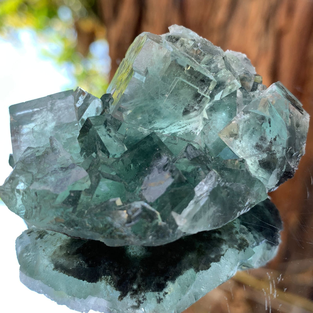 5.5cm 76g Clear Green Fluorite from Xianghualing, China
