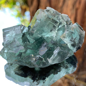 5.5cm 76g Clear Green Fluorite from Xianghualing, China