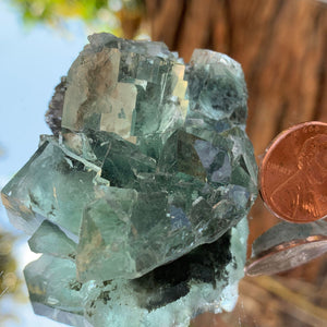 5.5cm 76g Clear Green Fluorite from Xianghualing, China