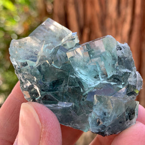 5.5cm 76g Clear Green Fluorite from Xianghualing, China