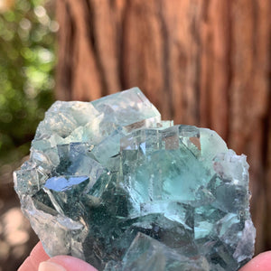 5.5cm 76g Clear Green Fluorite from Xianghualing, China