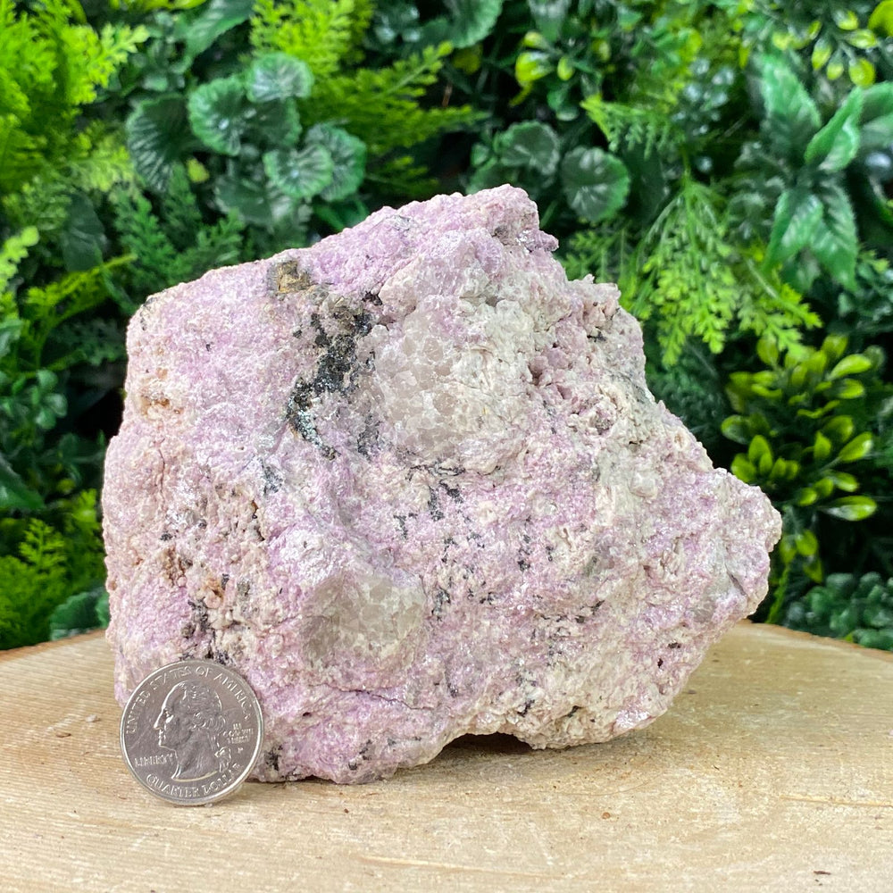 
            
                Load image into Gallery viewer, 12.5cm 1.14kg Lepidolite from Brazil
            
        