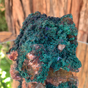 8.5cm 424g Malachite from Bou Bekker, Morocco