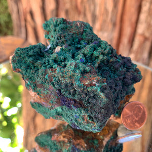 8.5cm 424g Malachite from Bou Bekker, Morocco