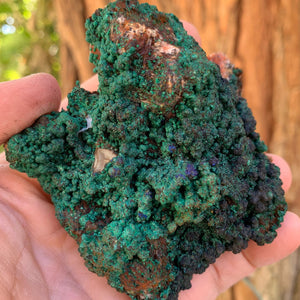 8.5cm 424g Malachite from Bou Bekker, Morocco