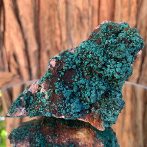11cm 402g Malachite from Bou Bekker, Morocco