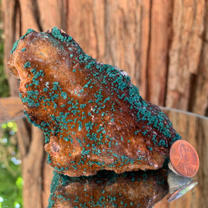 11cm 402g Malachite from Bou Bekker, Morocco