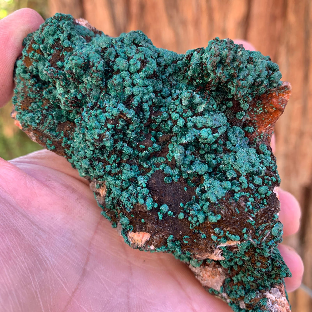 11cm 402g Malachite from Bou Bekker, Morocco