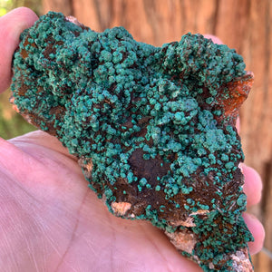 11cm 402g Malachite from Bou Bekker, Morocco