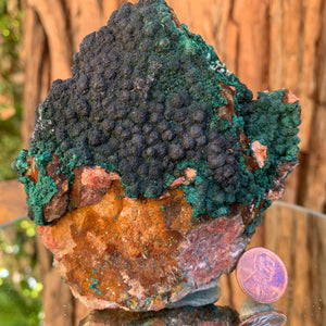 10cm 506g Malachite, Azurite from Bou Bekker, Morocco