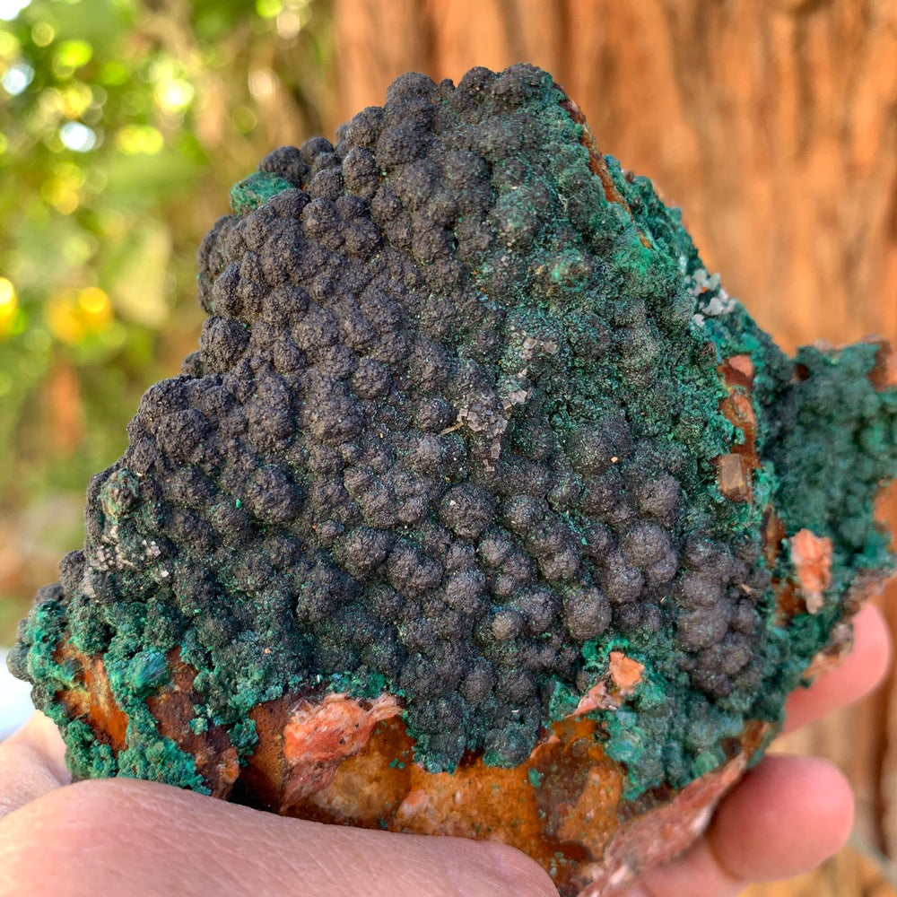 10cm 506g Malachite, Azurite from Bou Bekker, Morocco