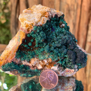 10cm 612g Malachite from Bou Bekker, Morocco