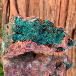 14cm 882g Malachite, Barite from Bou Bekker, Morocco