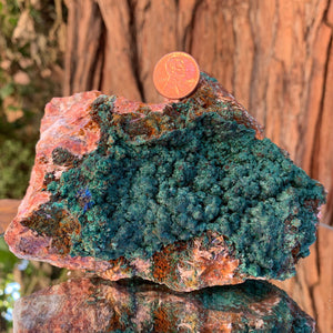 14cm 1.47kg Malachite, Barite from Bou Bekker, Morocco
