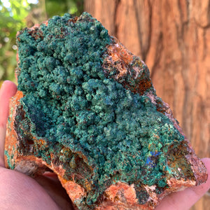 14cm 1.47kg Malachite, Barite from Bou Bekker, Morocco