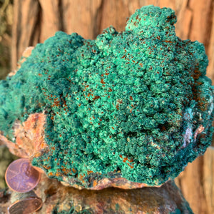 15.5cm 2kg Malachite, Barite from Bou Bekker, Morocco