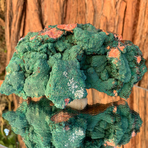 16.5cm 964g Malachite from Bou Bekker, Morocco