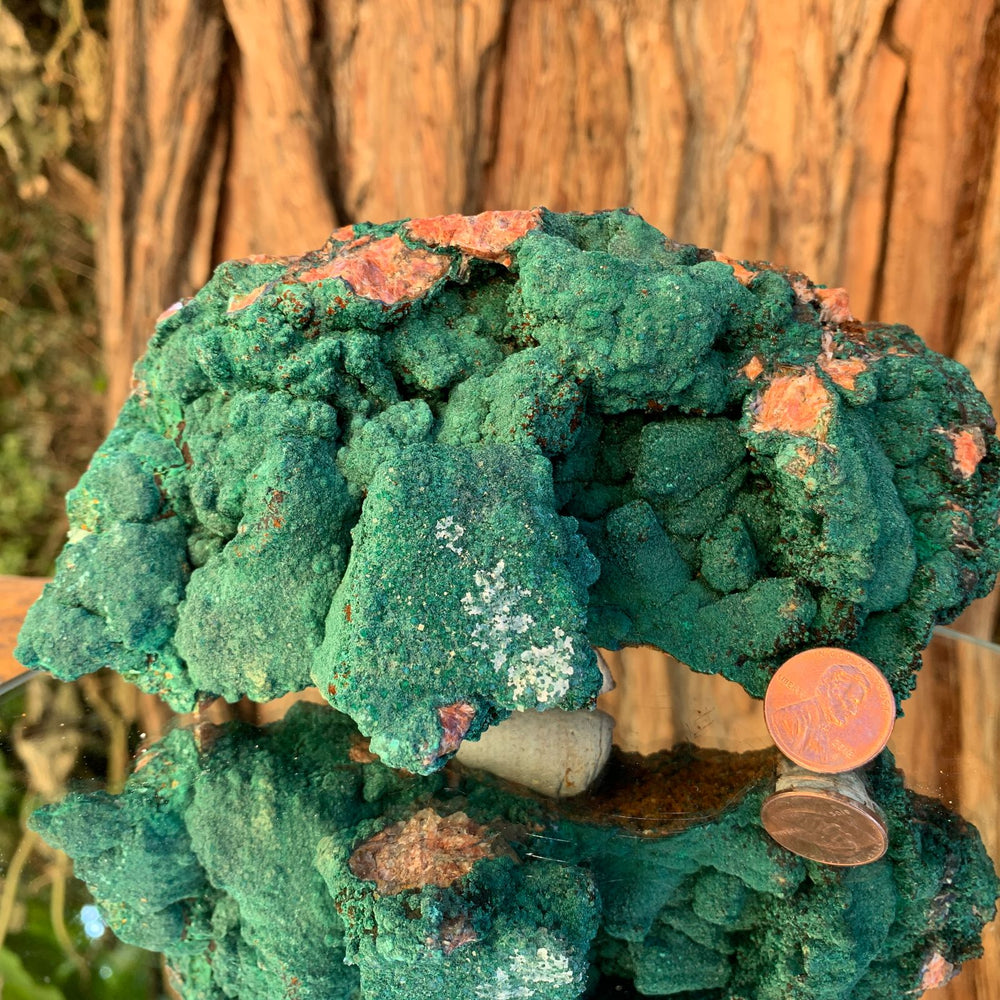 16.5cm 964g Malachite from Bou Bekker, Morocco