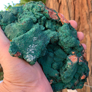 16.5cm 964g Malachite from Bou Bekker, Morocco