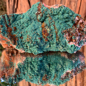 16.5cm 1.77kg Malachite from Bou Bekker, Morocco