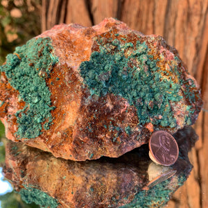16.5cm 1.77kg Malachite from Bou Bekker, Morocco