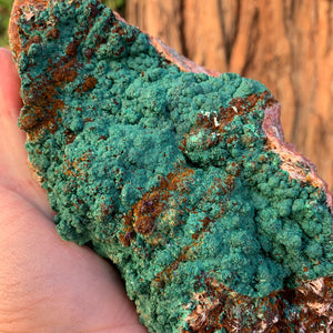 16.5cm 1.77kg Malachite from Bou Bekker, Morocco