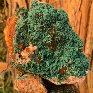 15cm 1.68kg Malachite from Bou Bekker, Morocco