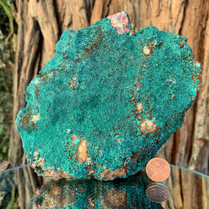 15cm 1.68kg Malachite from Bou Bekker, Morocco