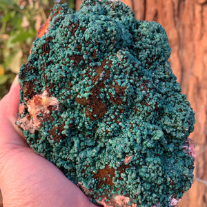 15cm 1.68kg Malachite from Bou Bekker, Morocco