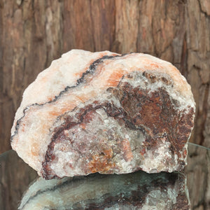14cm 1.44kg Red and White Calcite from Mexico