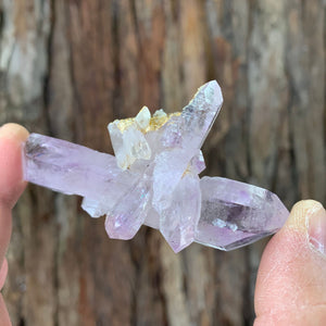 8.5cm 60g Veracruz Amethyst from Mexico