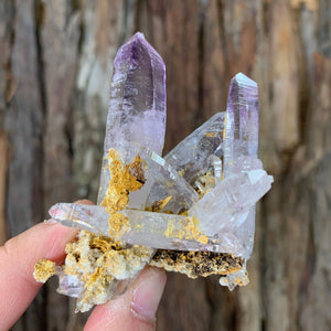 7.5cm 74g Veracruz Amethyst from Mexico