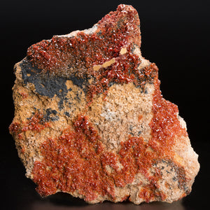 
            
                Load image into Gallery viewer, 2.12kg 18cm Large Red Vanadinite Crystal Cluster Mineral Specimen from Morocco
            
        