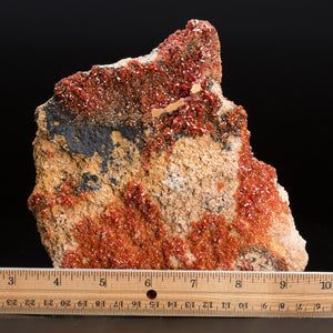 2.12kg 18cm Large Red Vanadinite Crystal Cluster Mineral Specimen from Morocco