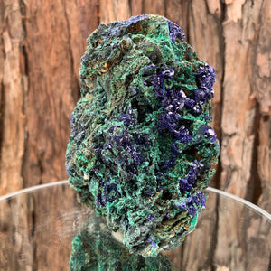 11.7cm 746g Azurite from Sepon Mine, Laos