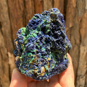 8.2cm 506g Azurite from Sepon Mine, Laos