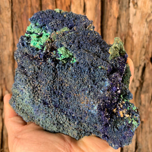 14.5cm 1.43kg Azurite and Malachite from Sepon Mine, Laos