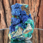 7.5cm 175g Azurite & Malachite Perimorph Pseudomorph from Sepon Mine, Laos