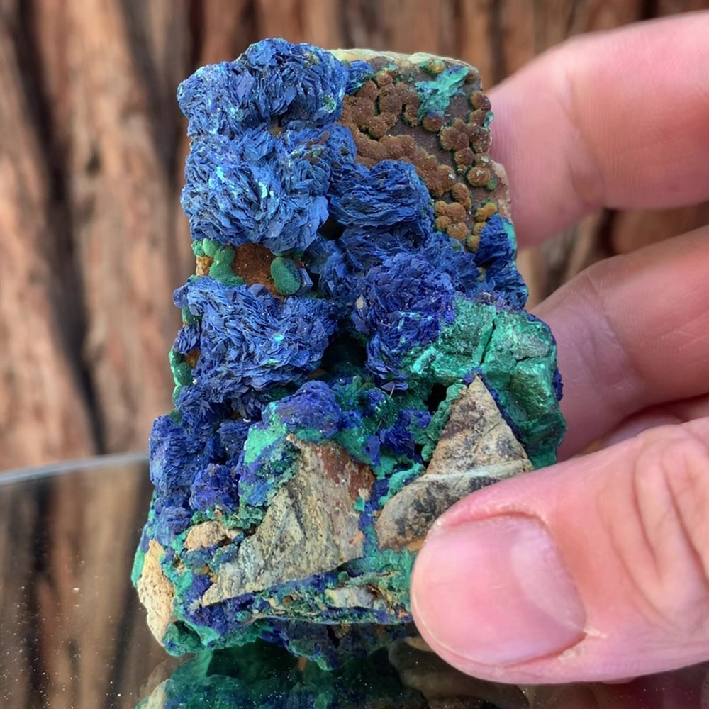 7.5cm 175g Azurite & Malachite Perimorph Pseudomorph from Sepon Mine, Laos