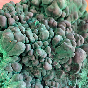 
            
                Load image into Gallery viewer, 19.5cm 3.85kg Malachite from Sepon Mine, Laos
            
        